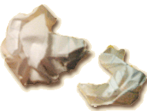 crumpled paper